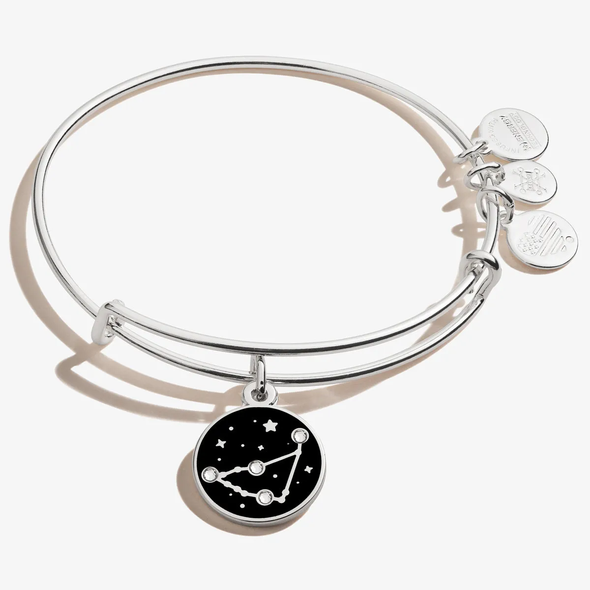 Capricorn Zodiac Charm Bangle