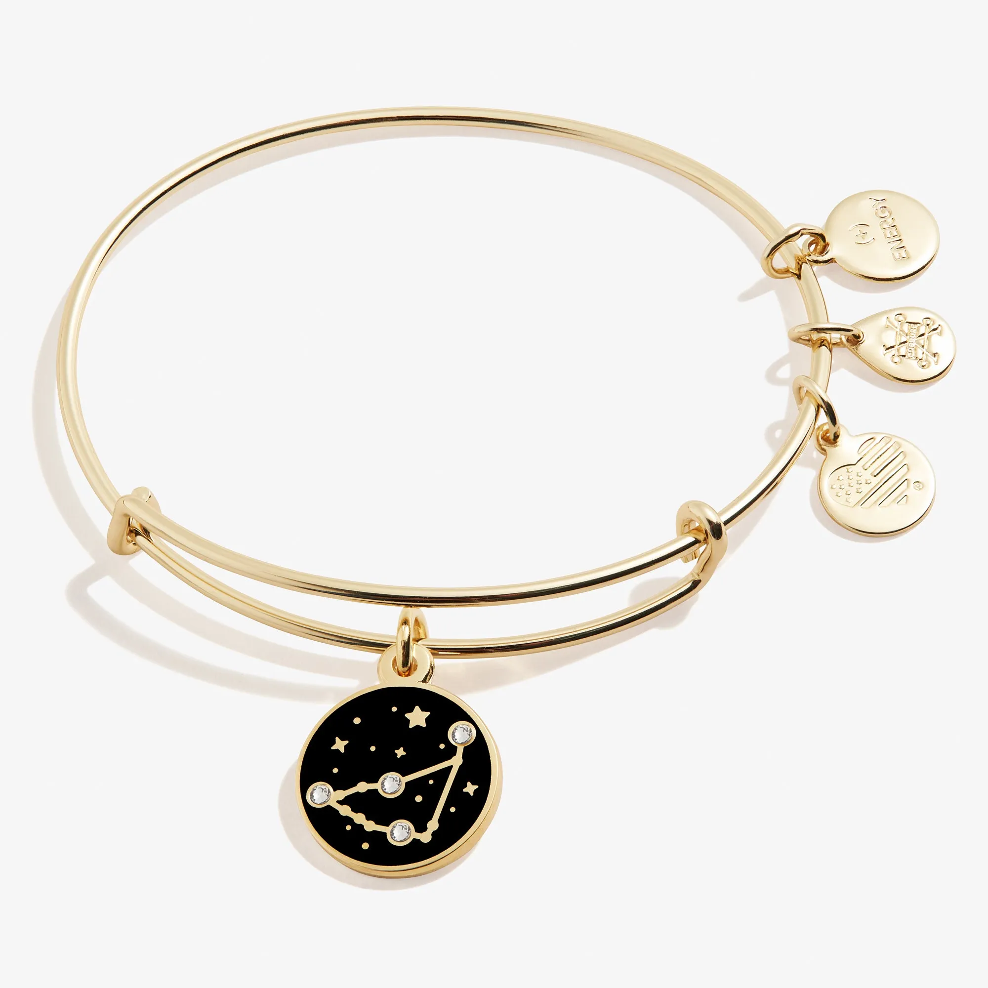 Capricorn Zodiac Charm Bangle