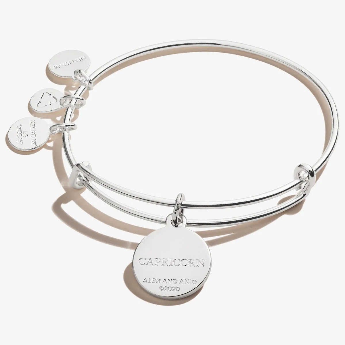 Capricorn Zodiac Charm Bangle