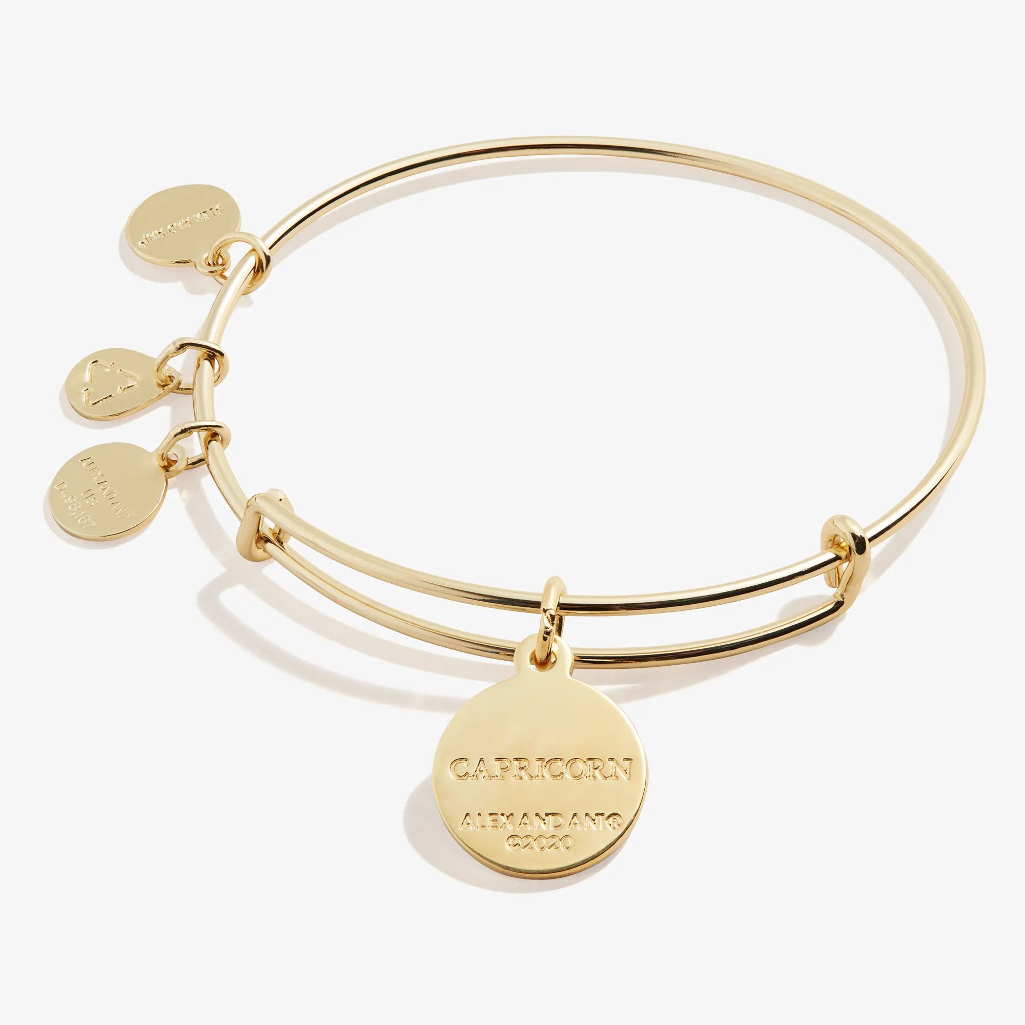 Capricorn Zodiac Charm Bangle