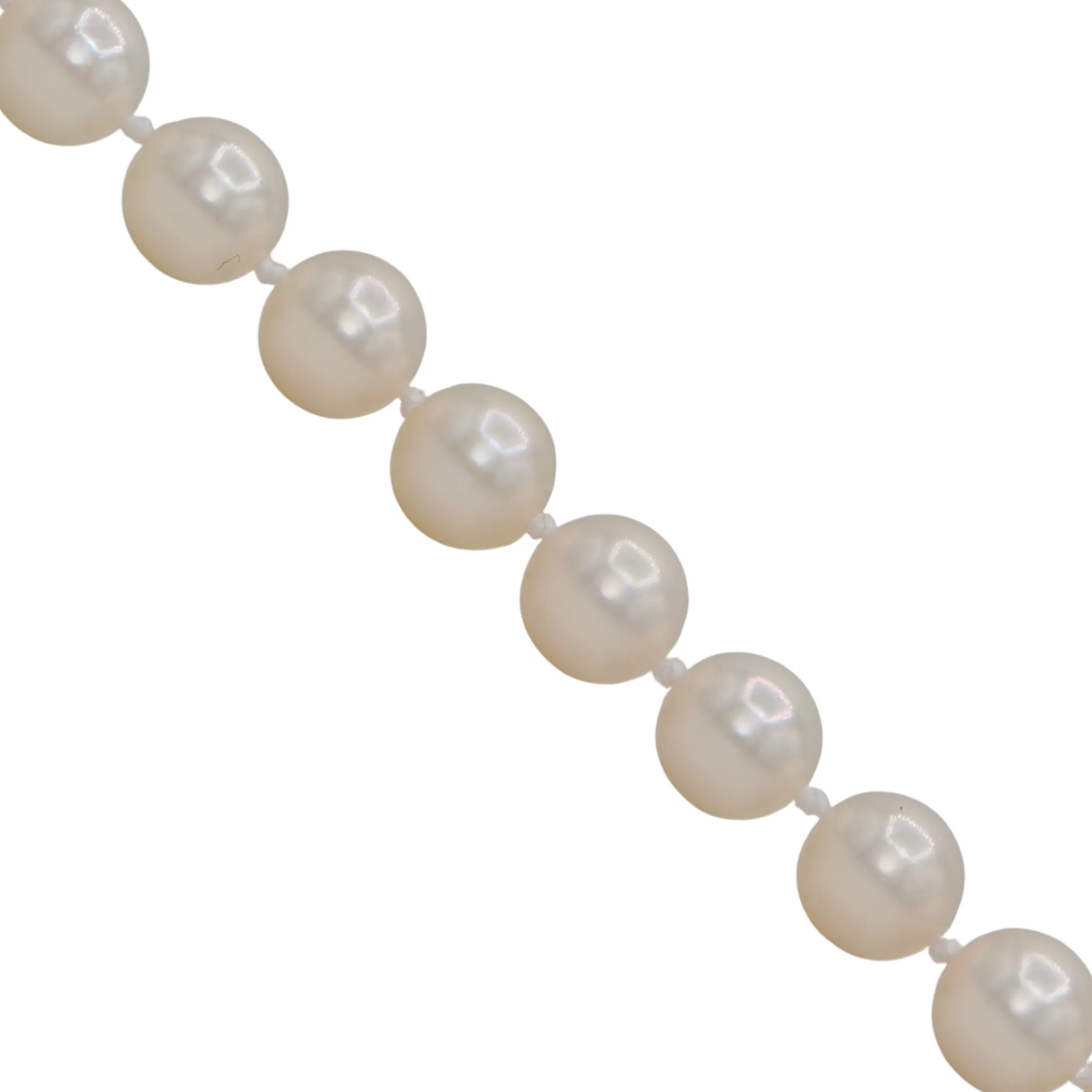 Daisy Exclusive 19" 7.5-8.0mm Single Strand Japanese Cultured Pearl Necklace with 18k Gold Spring Ring Clasp