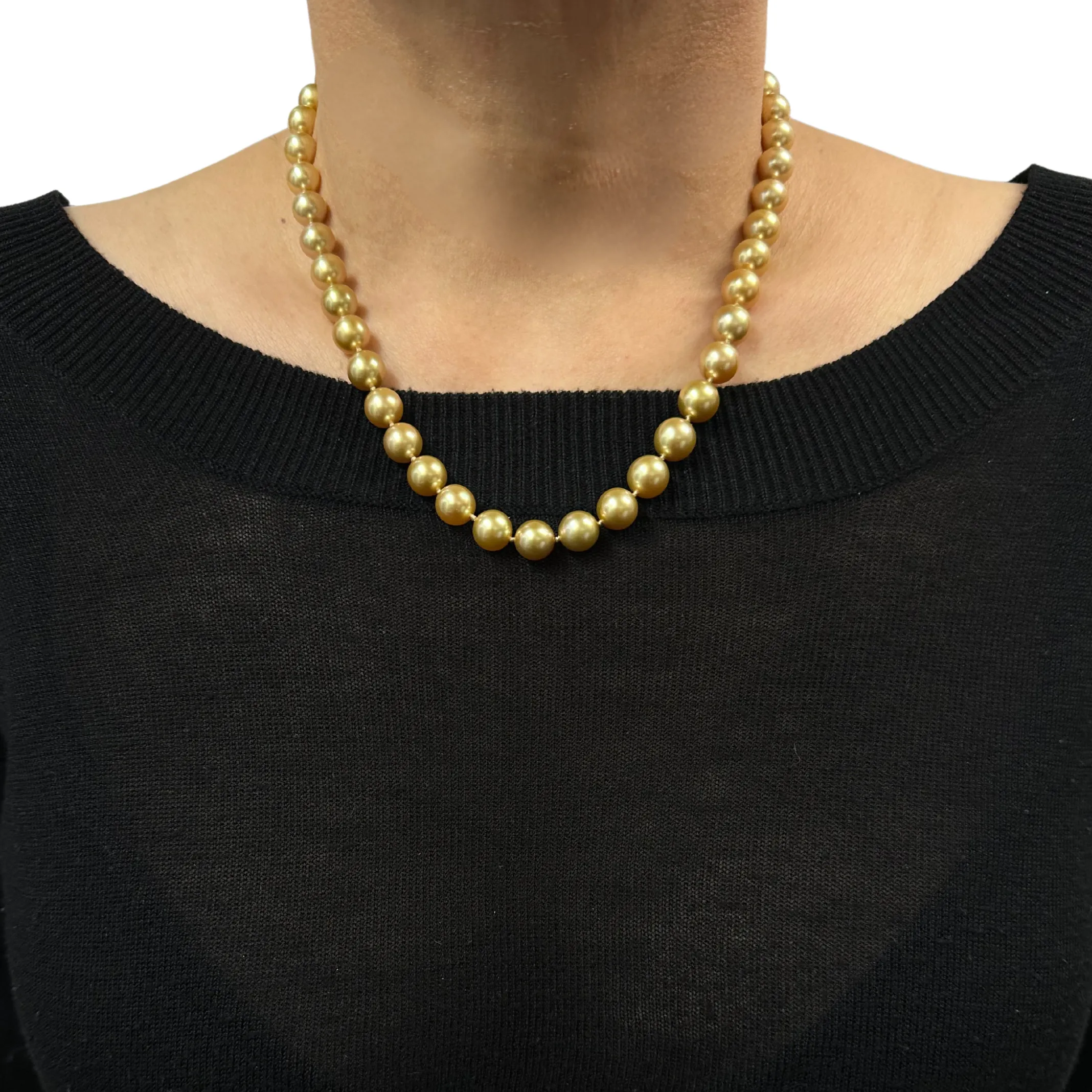Daisy Exclusive AAA Golden South Sea Cultured Pearl Necklace with 18K Gold Clasp