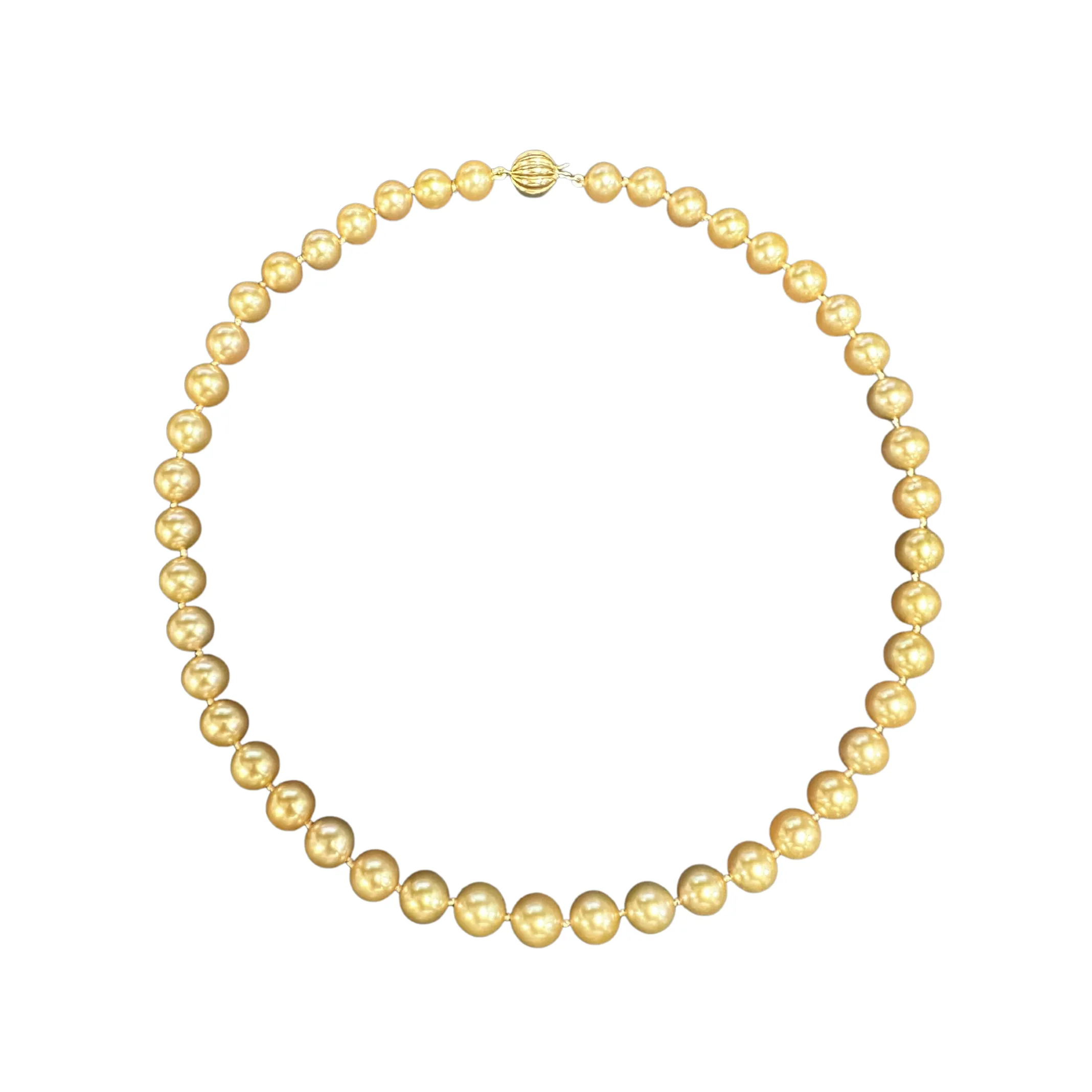 Daisy Exclusive AAA Golden South Sea Cultured Pearl Necklace with 18K Gold Clasp