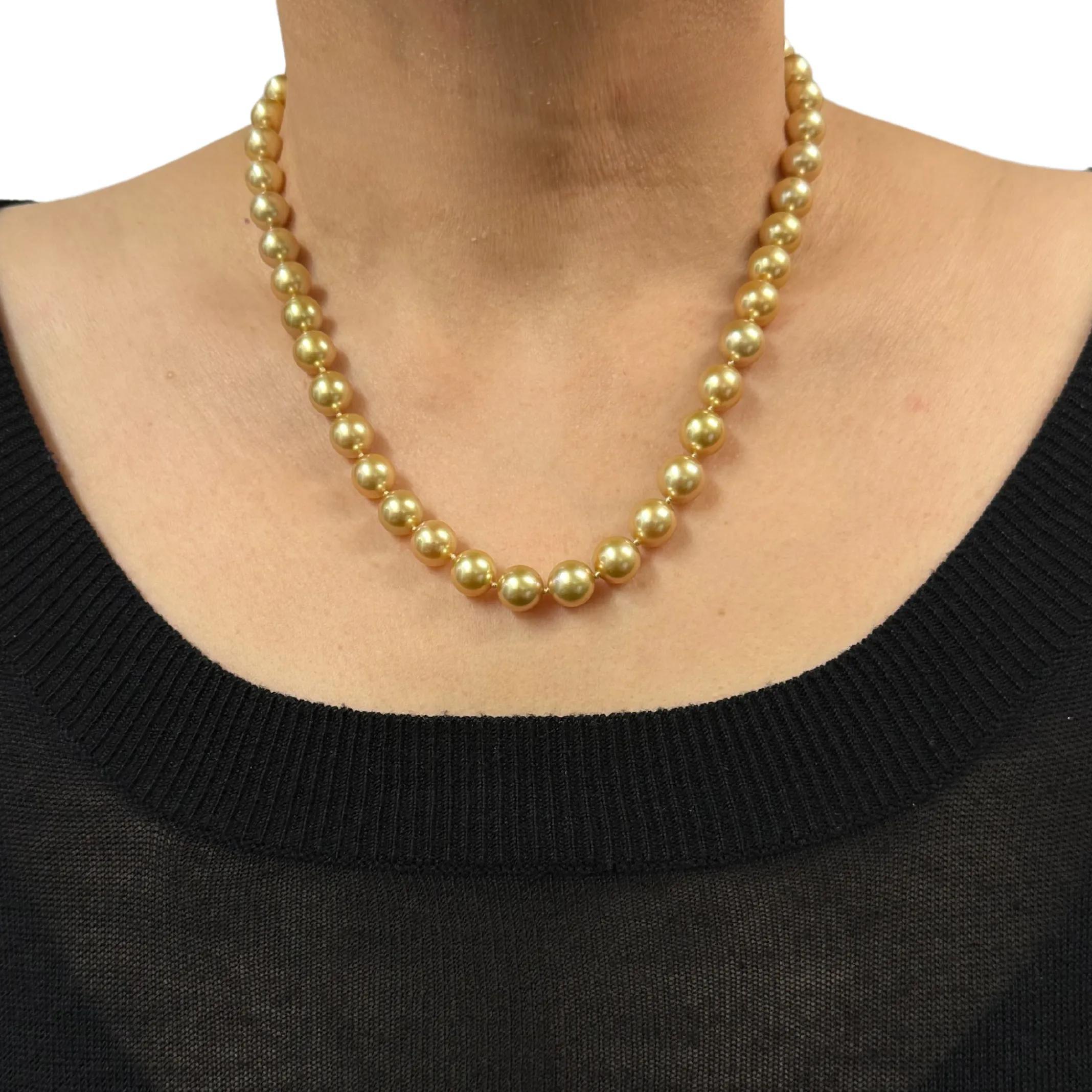 Daisy Exclusive AAA Golden South Sea Cultured Pearl Necklace with 18K Gold Clasp