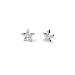 Estrela do Mar Small Earrings  White Gold - Diamond Pav??