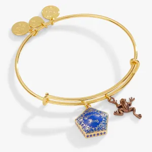 Harry Potter? Chocolate Frog Two-Charm Bangle