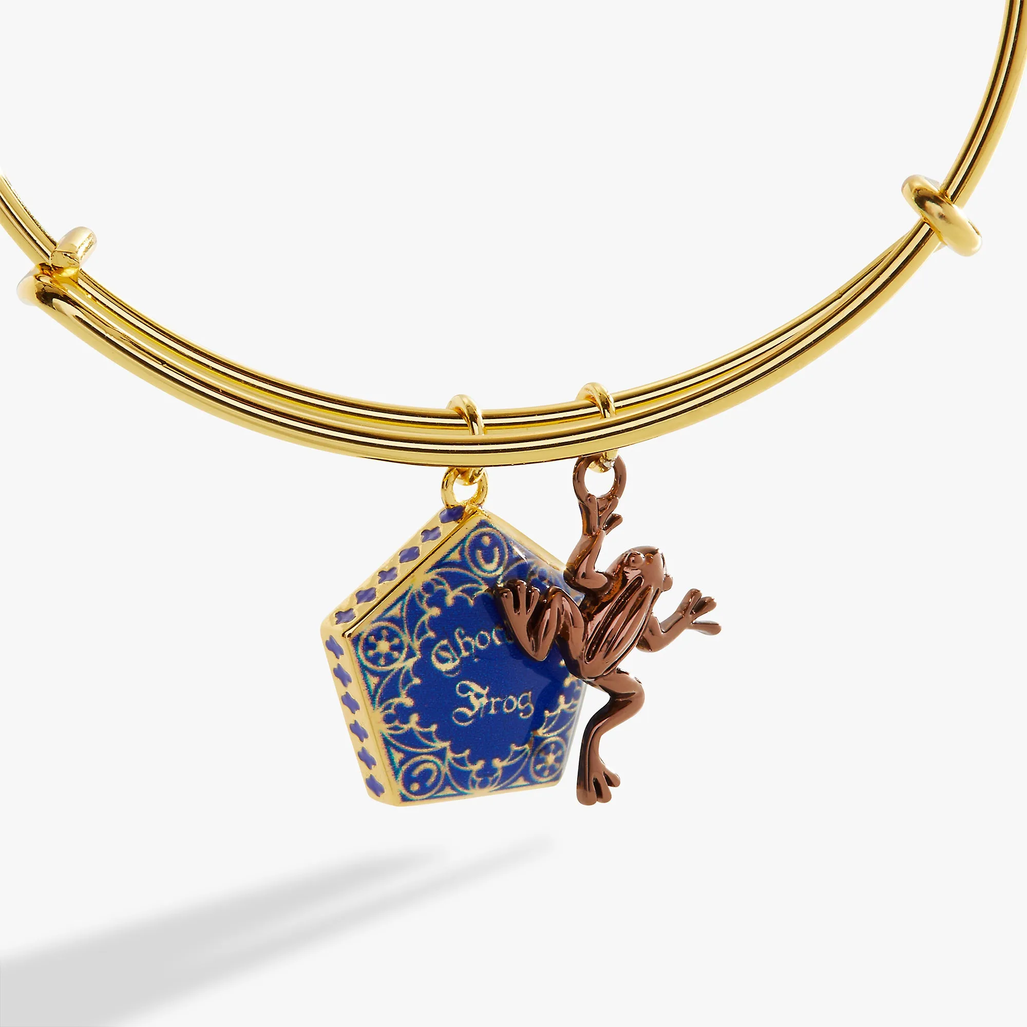 Harry Potter? Chocolate Frog Two-Charm Bangle