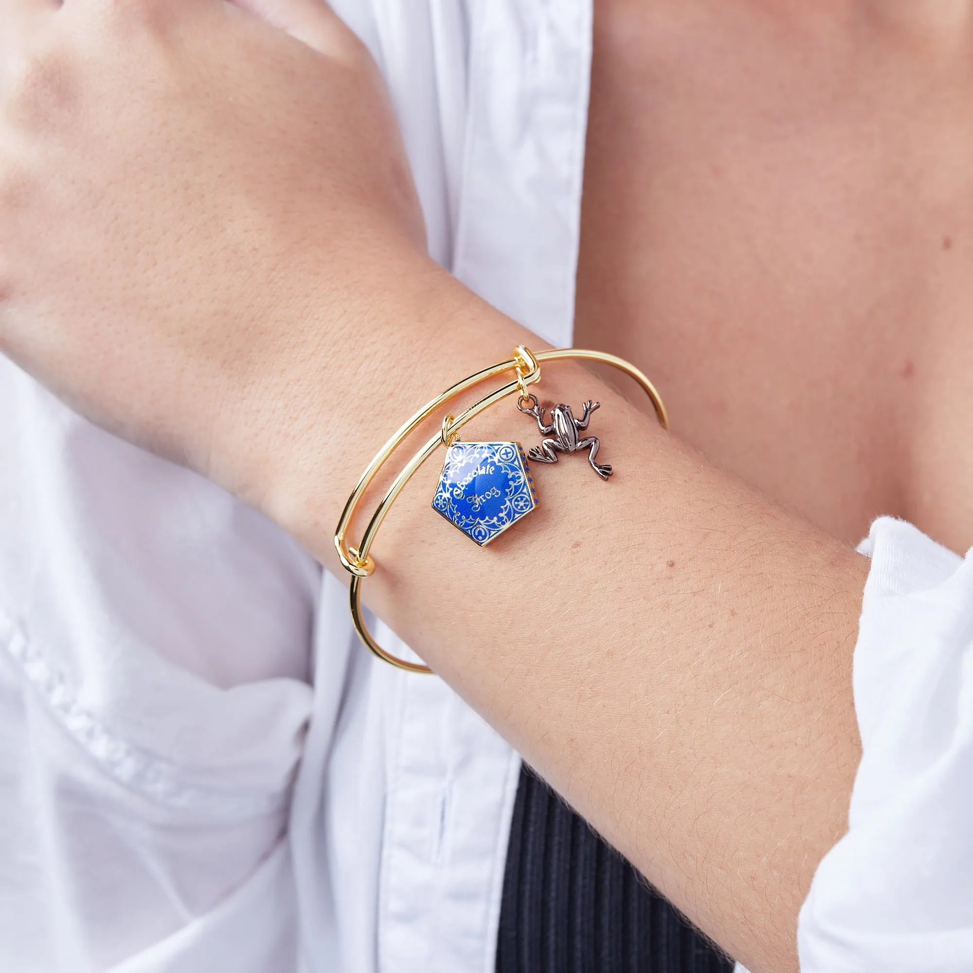 Harry Potter? Chocolate Frog Two-Charm Bangle