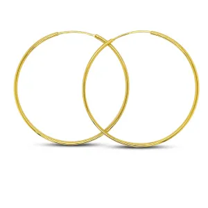 Large Aqua Net Hoops