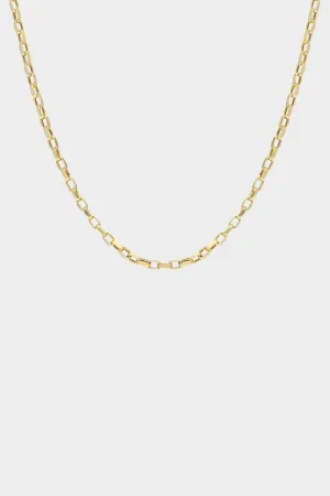Medium Open Box Chain, Yellow Gold