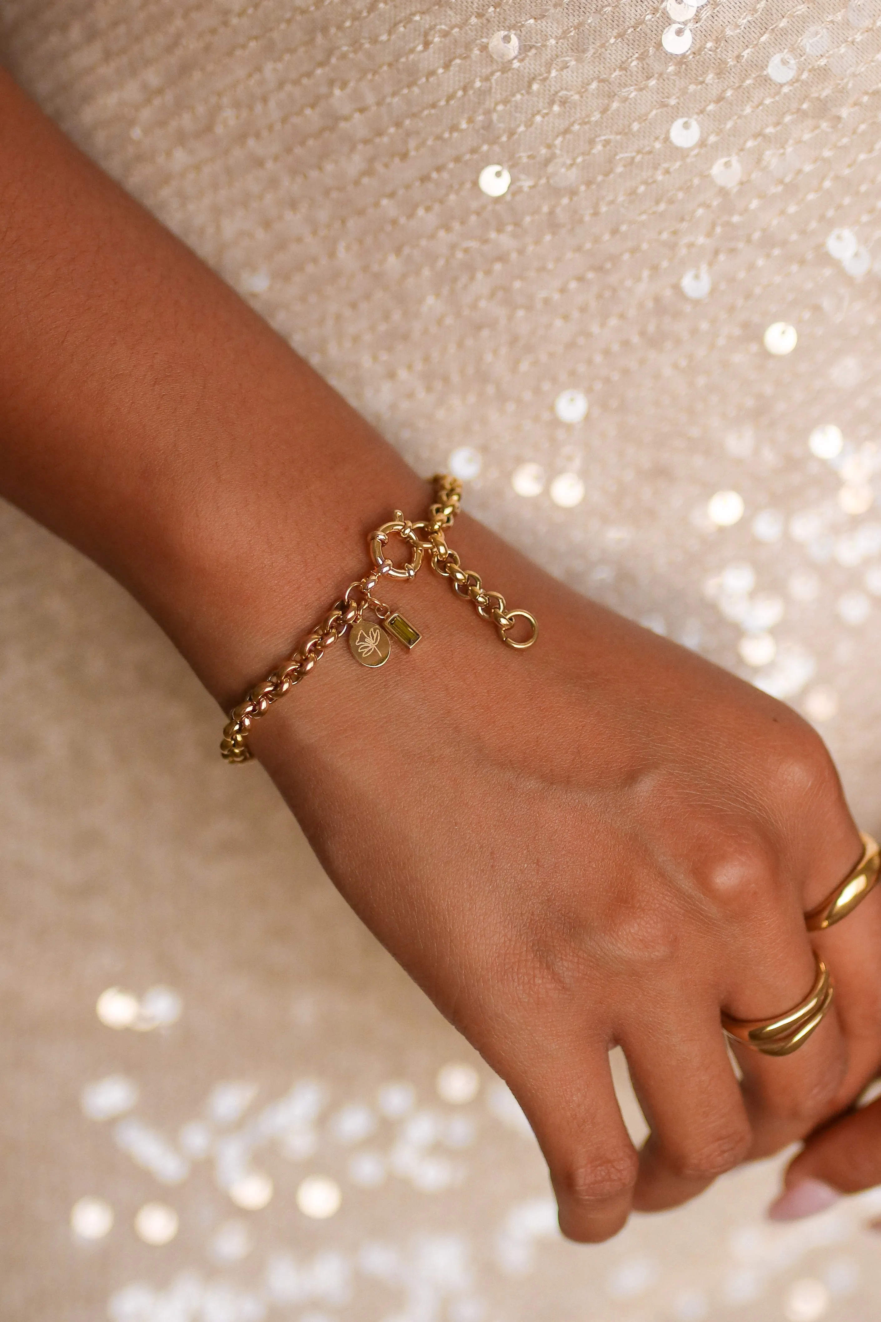 Paris - Stainless Steel Engraved Birthstone Bracelet