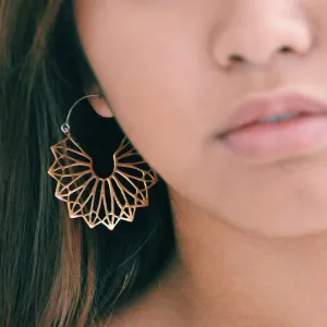 Synergy Hoops - Silver Posts