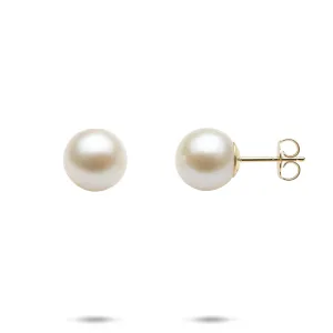 White Freshwater Pearl Earrings in Gold - 9-10mm